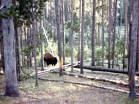 photos 2000-200900335